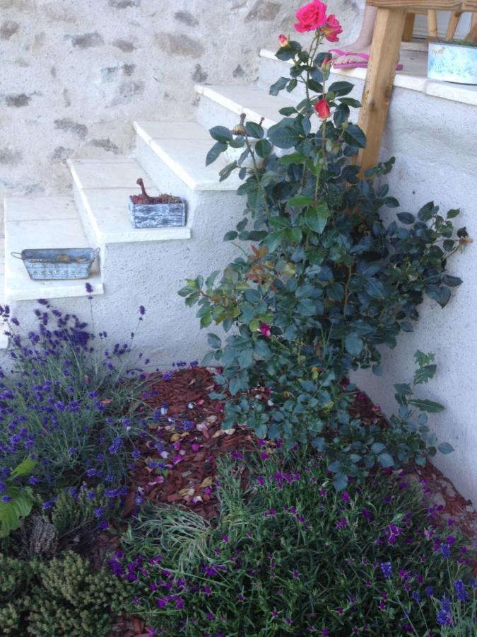 הוילה Saint-Appolinaire  Le Domaine Des Terres מראה חיצוני תמונה